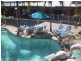 Port Douglas QLD 4877