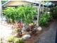 Port Douglas QLD 4877
