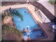 Tugun QLD 4224