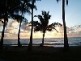 Palm Cove QLD 4879