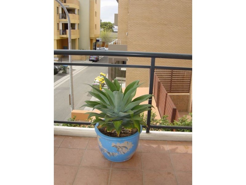 13/17-21 Mansfield Avenue, Caringbah South NSW 2229