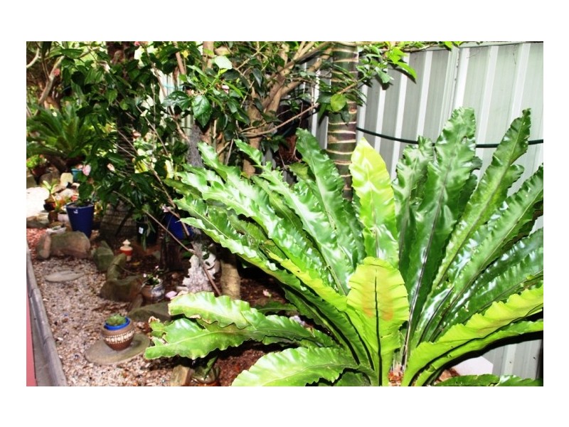 22 Silver Beach Road, Kurnell NSW 2231