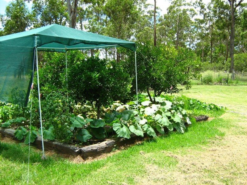 Kingaroy QLD 4610