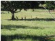 1687 Conway Road, Conway QLD 4800