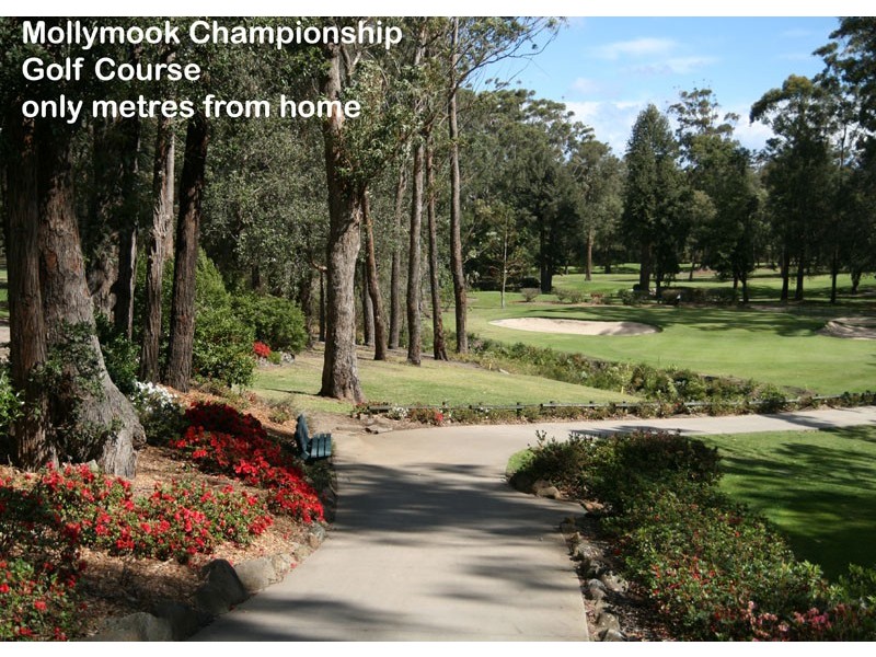 31 Clyde St, Mollymook NSW 2539