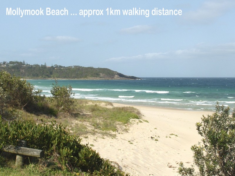 39 Treetops Cres, Mollymook NSW 2539