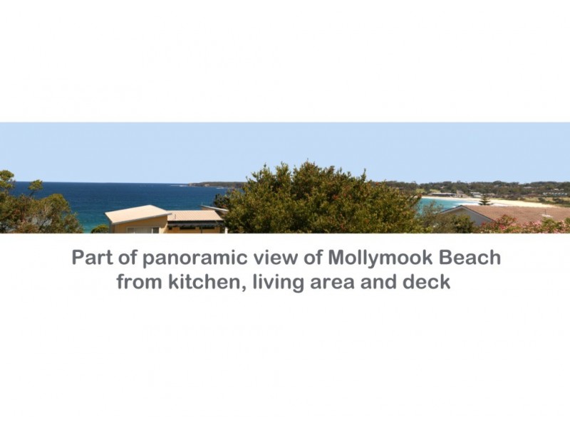 133 Mitchell Pde, Mollymook NSW 2539