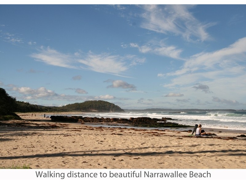 107 Leo Dr, Narrawallee NSW 2539