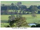 Milton NSW 2538