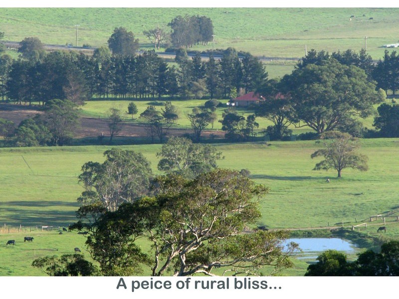 Milton NSW 2538