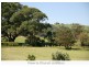 Milton NSW 2538