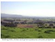 Milton NSW 2538