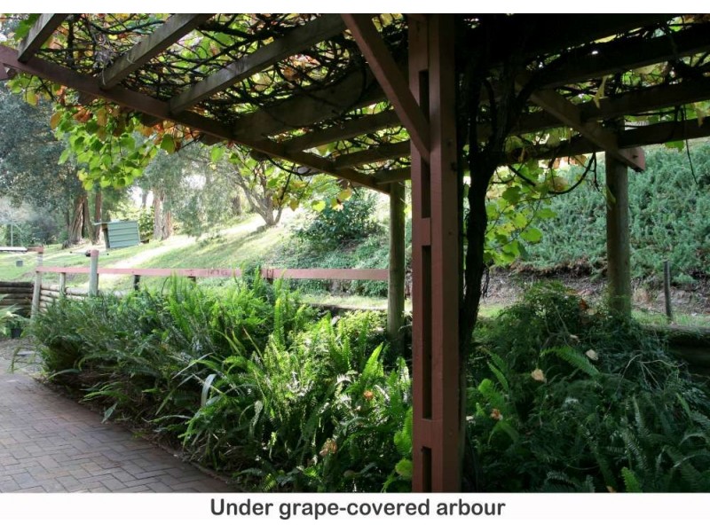 56 Valley Drive, Mollymook NSW 2539