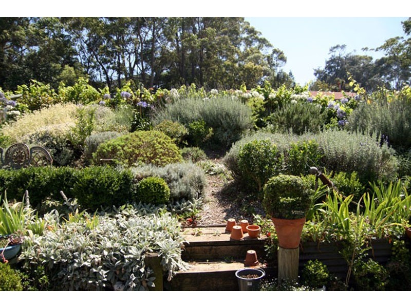 7 Anker Ave, Mollymook NSW 2539