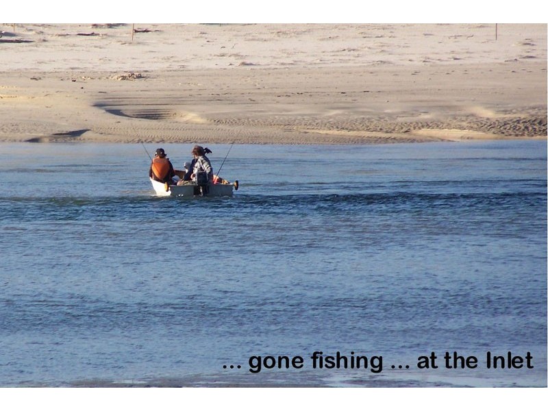 11 Sagitarius Way, Narrawallee NSW 2539