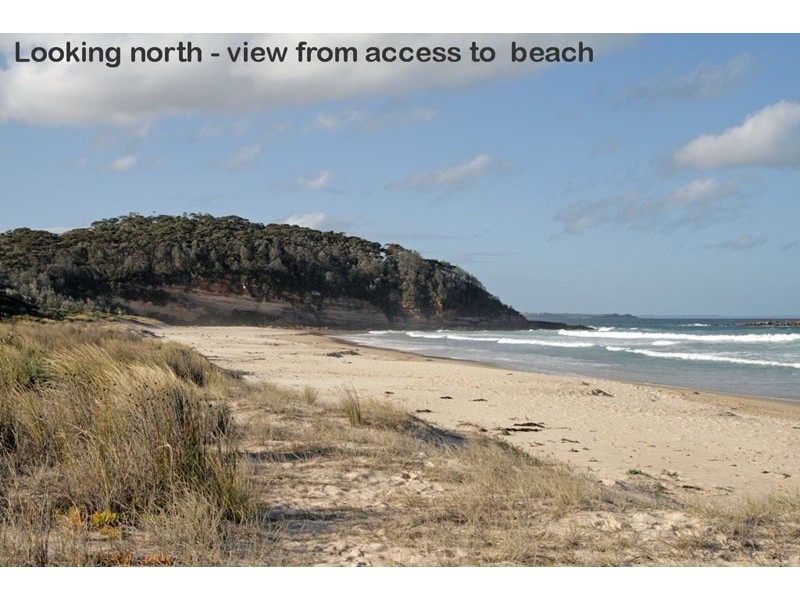 29 Matron Porter Drive, Narrawallee NSW 2539