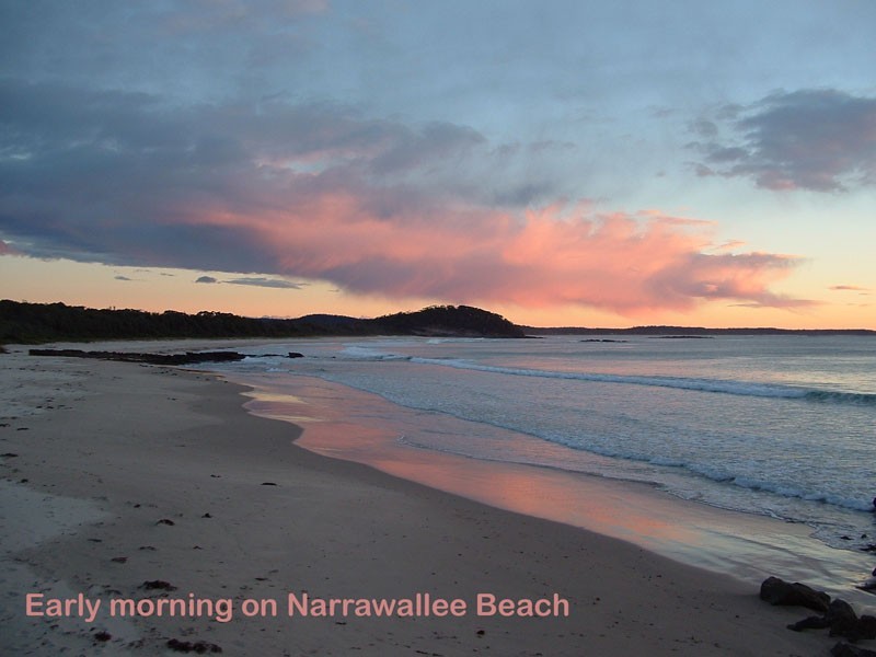 41 Bangalow St, Narrawallee NSW 2539