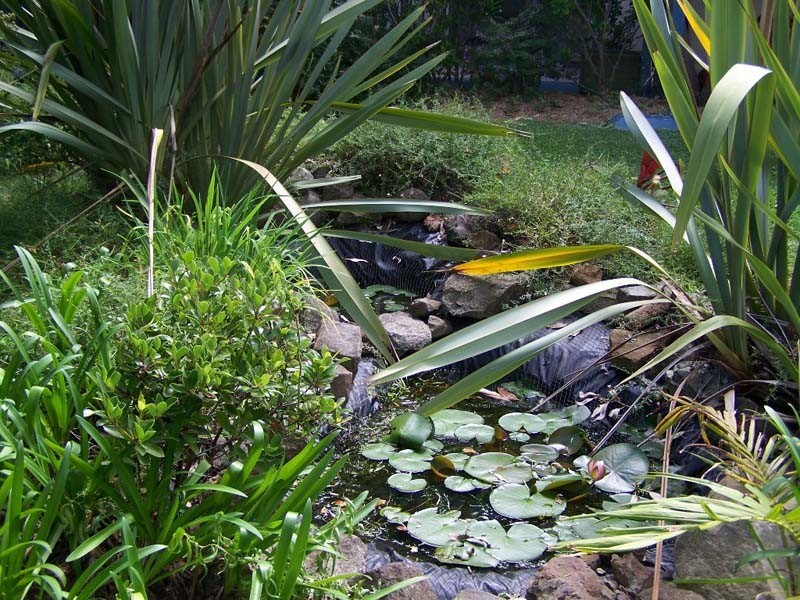 10 Booth Ave, Narrawallee NSW 2539