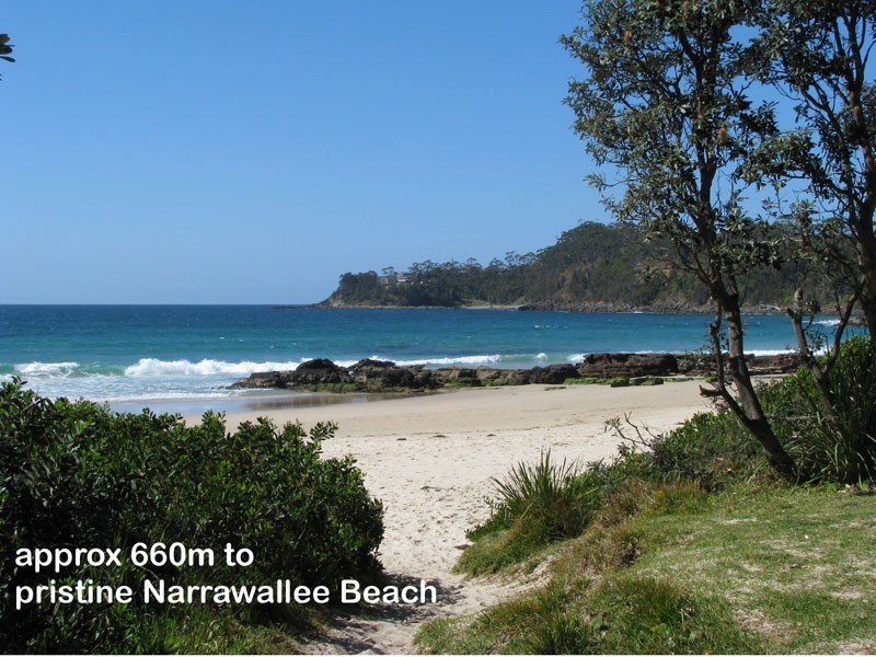 100 Leo Dr, Narrawallee NSW 2539