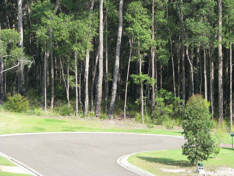 11 Woodalla Way, Narrawallee NSW 2539