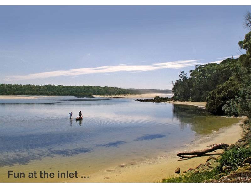 98 Leo Dr, Narrawallee NSW 2539