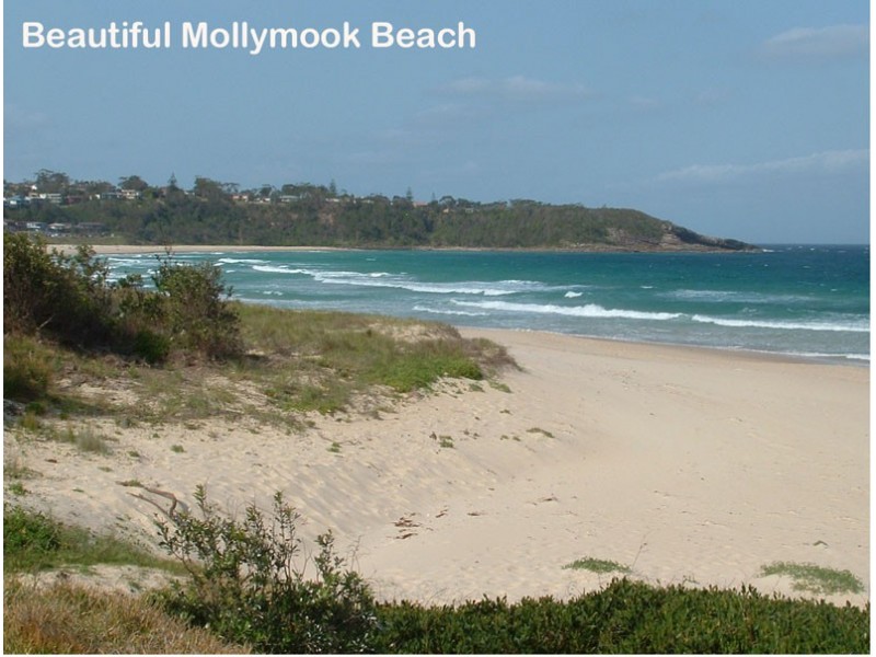 2/5-7 Mitchell Pde, Mollymook NSW 2539