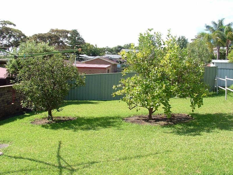 62 Seaview St, Mollymook NSW 2539