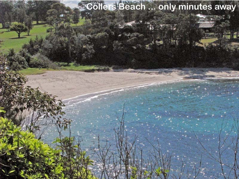 62 Seaview St, Mollymook NSW 2539