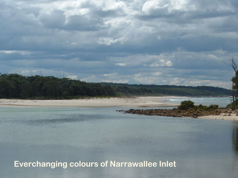 45 Leo Dr, Narrawallee NSW 2539