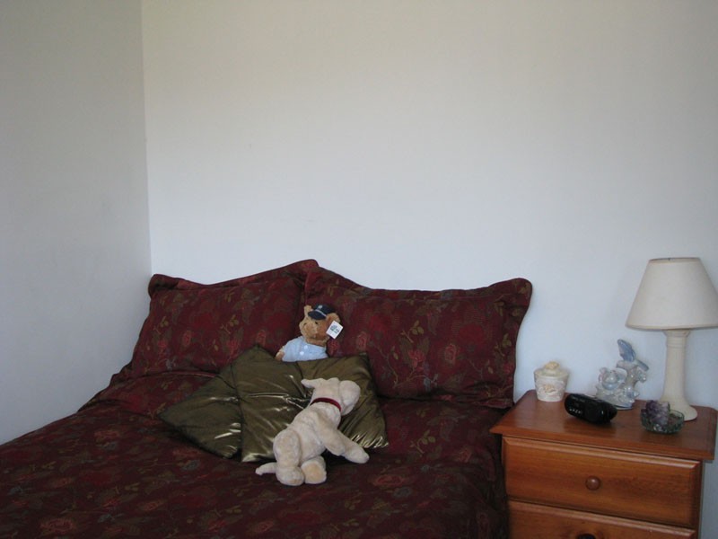 16 Gemini Way, Narrawallee NSW 2539