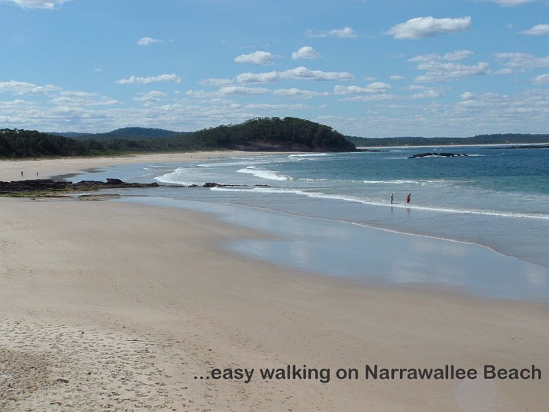 16 Gemini Way, Narrawallee NSW 2539