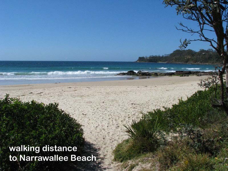 93 Leo Dr, Narrawallee NSW 2539