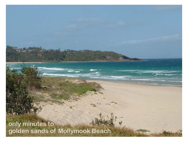 93 Leo Dr, Narrawallee NSW 2539