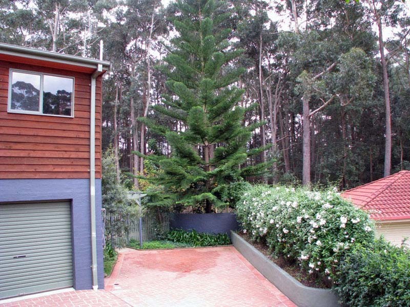 30 Oxley Cres, Mollymook NSW 2539