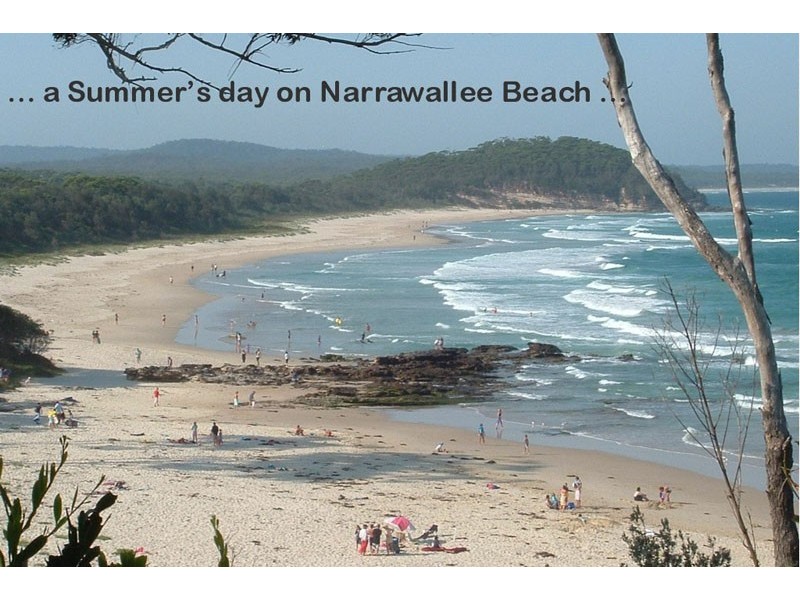 10 Parkinson St, Narrawallee NSW 2539