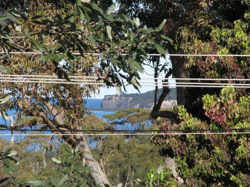 46 Bushland Ave, Mollymook NSW 2539