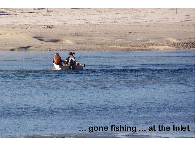 46 Bushland Ave, Mollymook NSW 2539