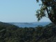 21 Seaspray St, Narrawallee NSW 2539