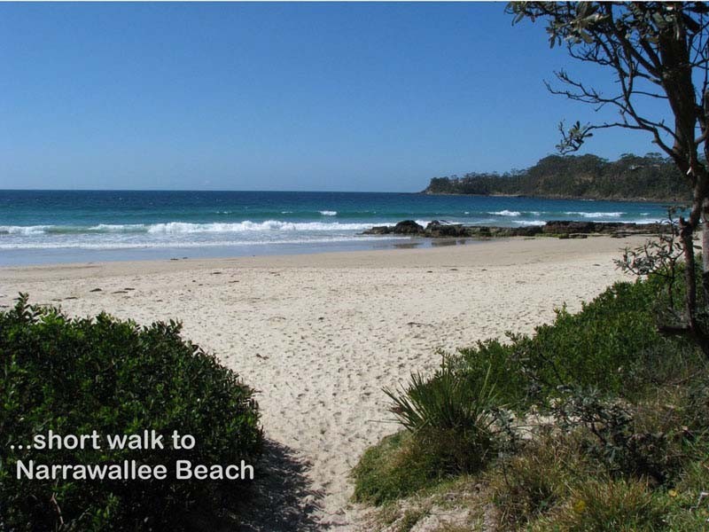 61 Bangalow St, Narrawallee NSW 2539