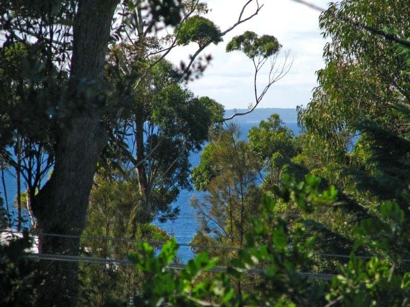 51 Tallwood Ave, Mollymook NSW 2539