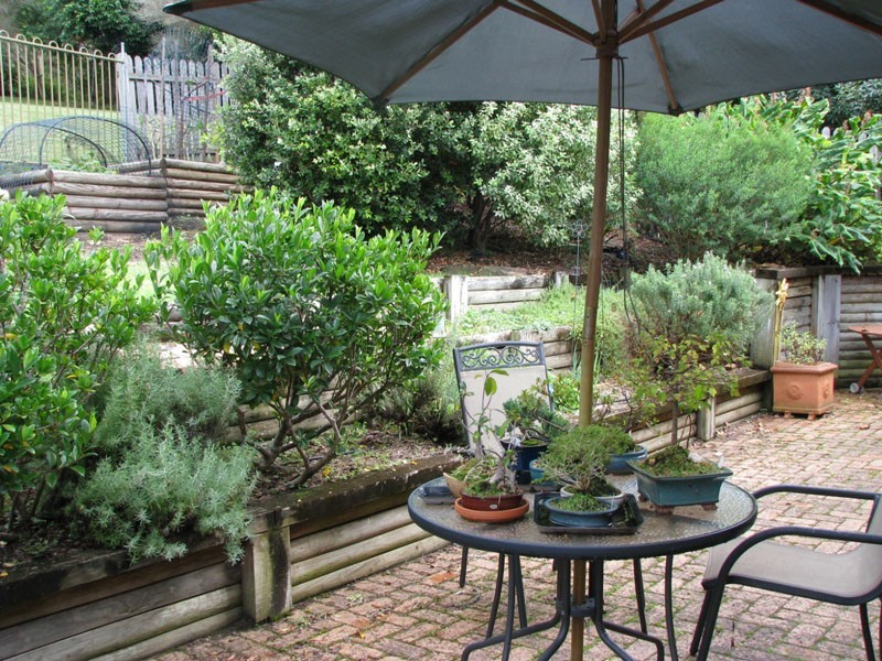 51 Tallwood Ave, Mollymook NSW 2539