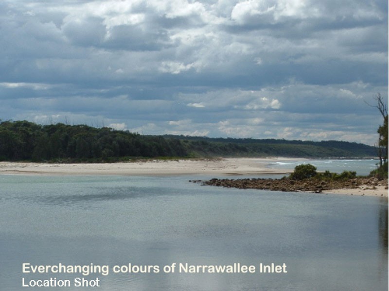 121 Matron Porter Dr, Narrawallee NSW 2539