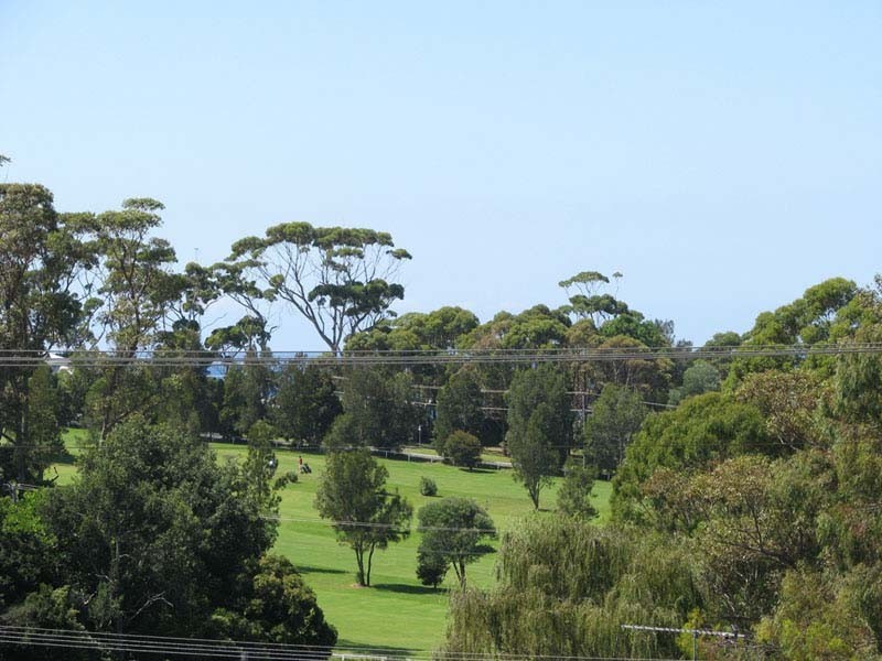 58 Seaview St, Mollymook NSW 2539