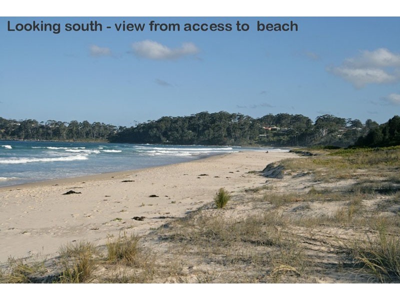 29 Matron Porter Dr, Narrawallee NSW 2539