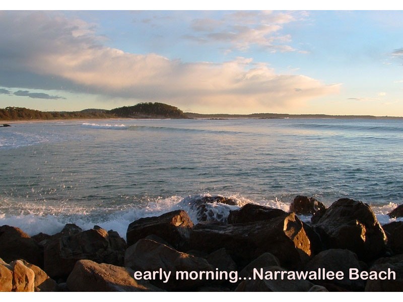 14 Tallwood Ave, Narrawallee NSW 2539