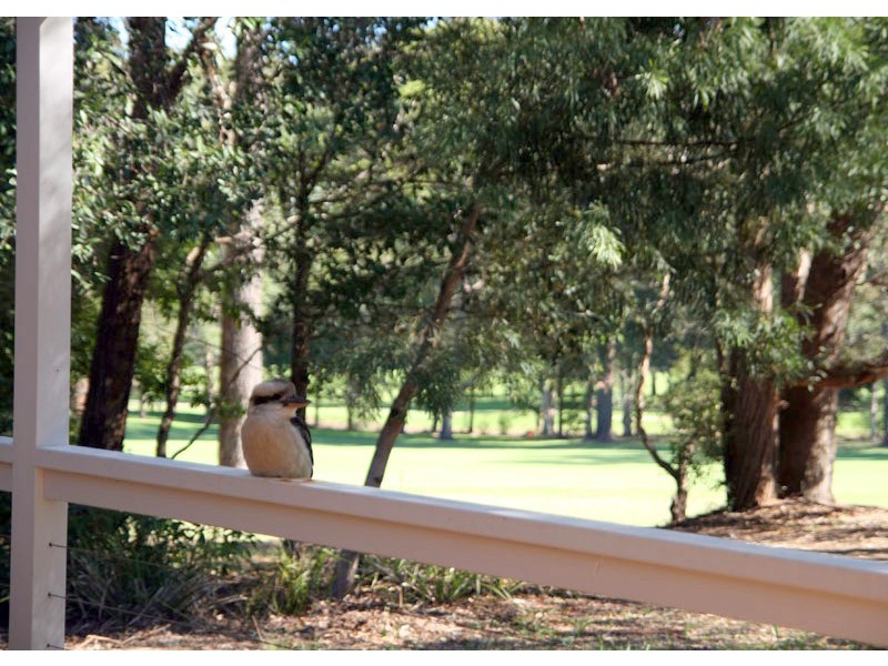 1/23 Augusta Pl, Mollymook NSW 2539