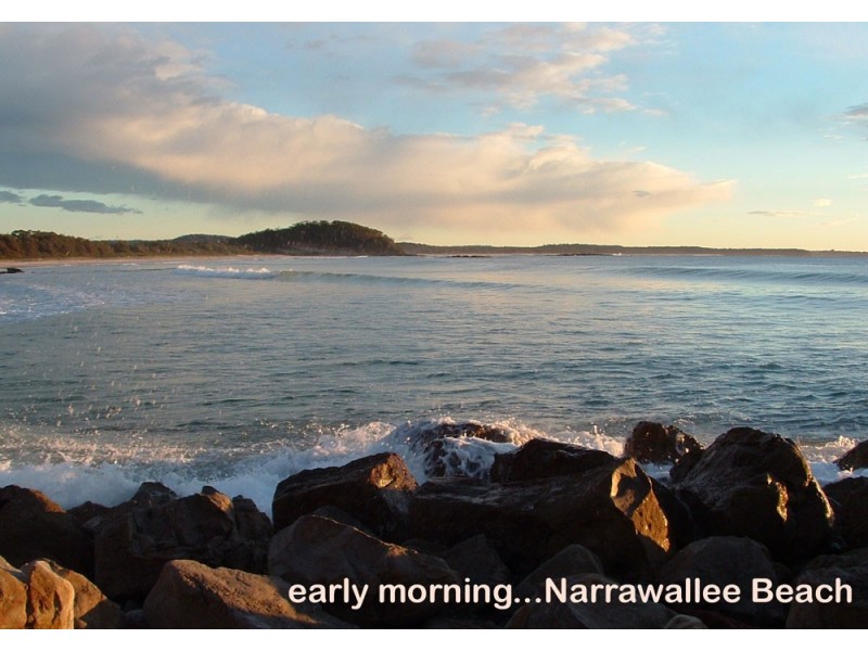 34 Seaspray St, Narrawallee NSW 2539