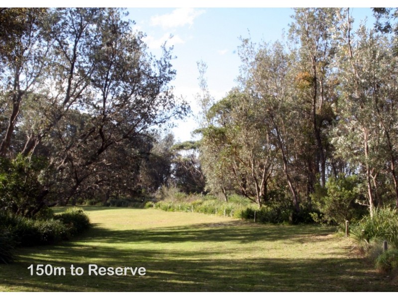 46 Normandy St, Narrawallee NSW 2539