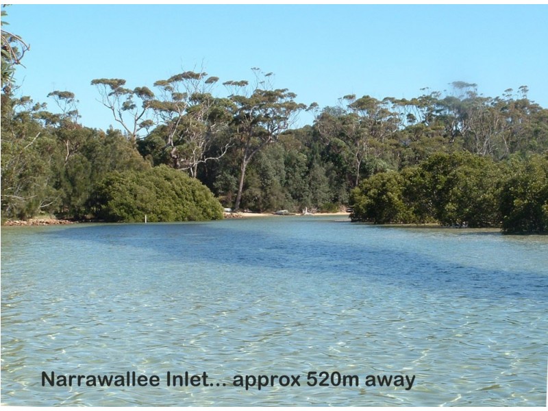 46 Normandy St, Narrawallee NSW 2539