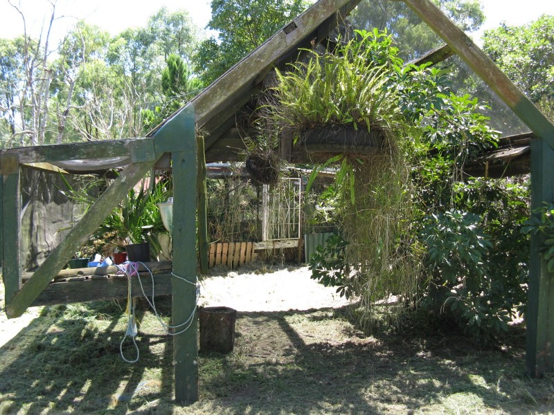 20 Allspice Street, Cedar Vale QLD 4285